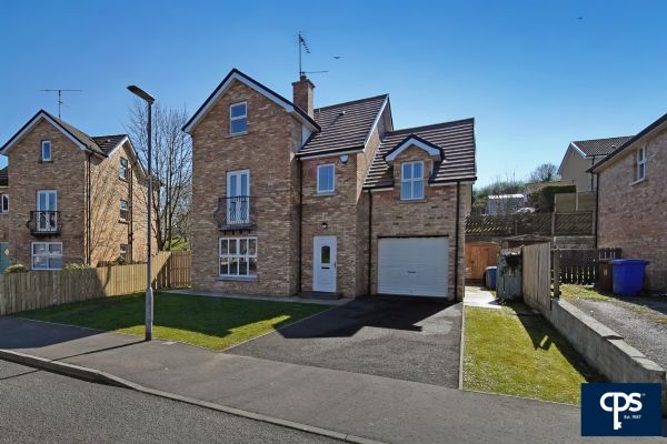 9 Meadowcroft, Dromore, omagh, BT78 3JA