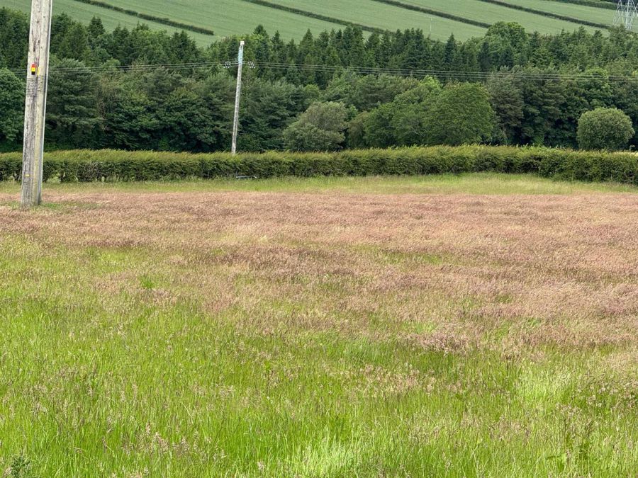 Land At Tamnaherin Road, cross, derry, BT47 3PN
