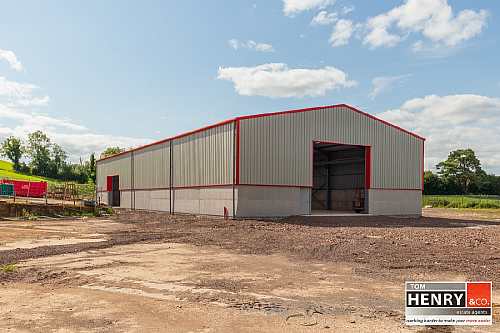 27 Farriter Road, dungannon, BT70 1TL