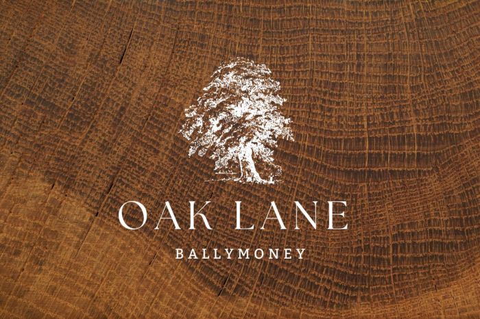 New Development Oak Lane, Market Street, ballymoney, BT53 6RH
