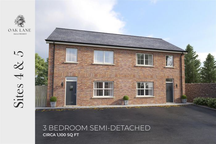 Site 5, (house Type 1) Oak Lane, Market Street, ballymoney, BT53 6RH
