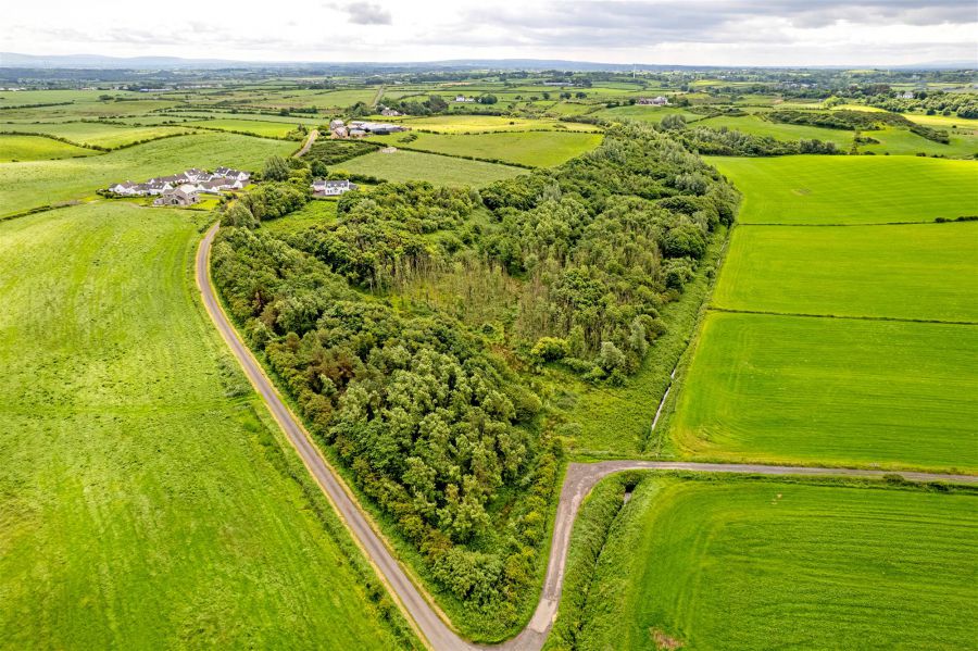 Woodland At 26 Leeke Road, bushmills, BT57 8UN