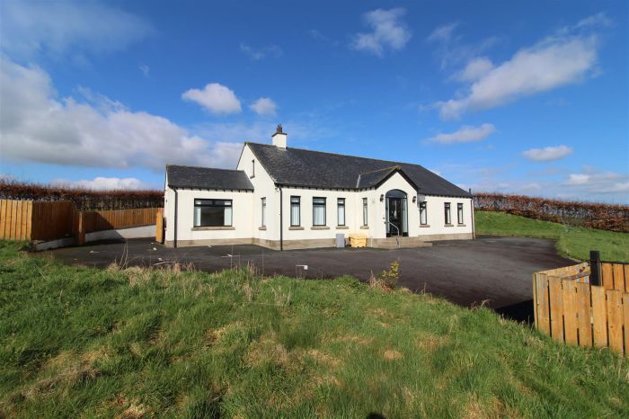 51 Vianstown Road, downpatrick, BT30 8AA